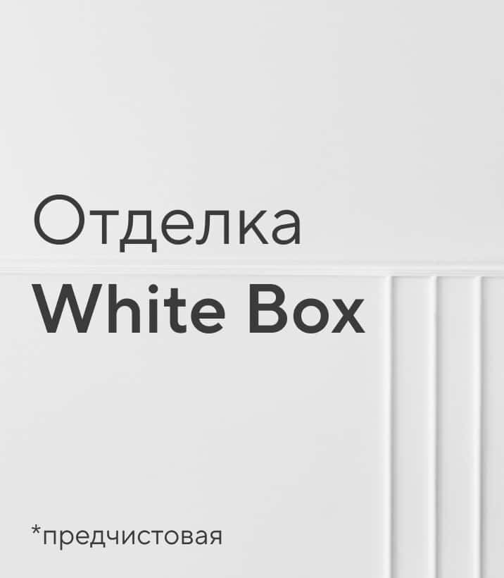 Предчистовая отделка DOGMA
