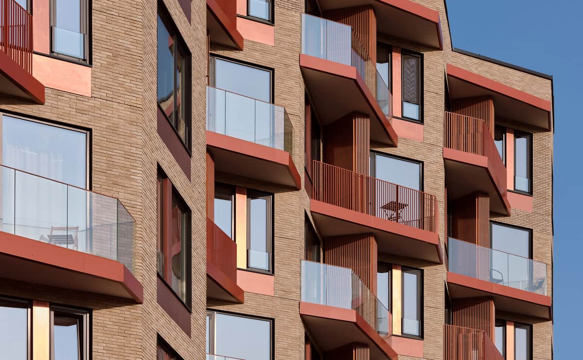 Champine — фото 3